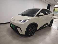 BYD Seagull 2025 305km Freedom Edition - ფოტო 1