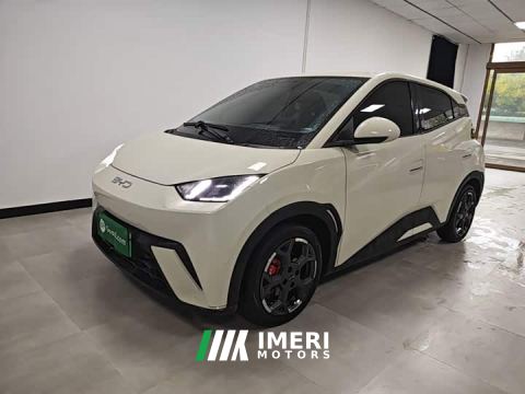 2024 BYD Seagull 305km Freedom Edition