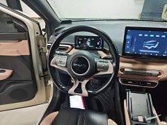 BYD Seagull 2025 305km Freedom Edition - ფოტო 10
