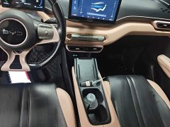 BYD Seagull 2025 305km Freedom Edition - ფოტო 13