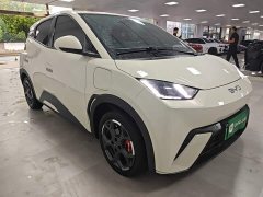 BYD Seagull 2025 305km Freedom Edition - ფოტო 3