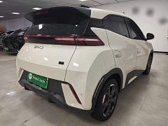 BYD Seagull 2025 305km Freedom Edition - ფოტო 6