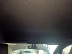 BYD Dolphin 405km Freedom Edition - ფოტო 17