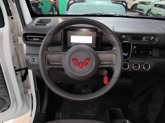 Wuling Zhiguang New Energy 201km Standard - ფოტო 10