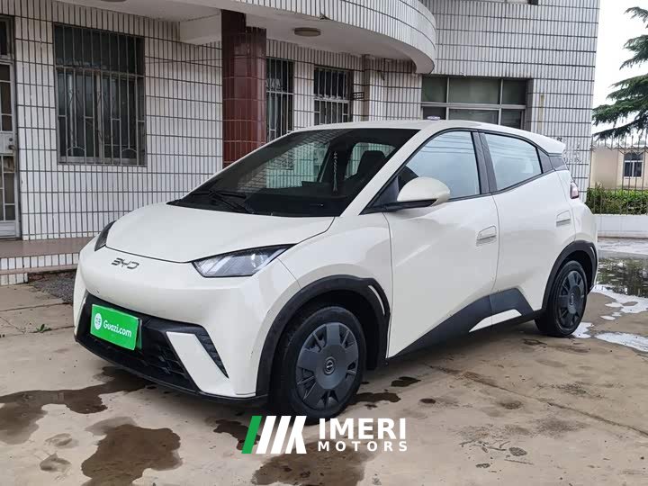 BYD Seagull Glory Edition 305km Vitality Version - ავტომობილი ჩინეთიდან