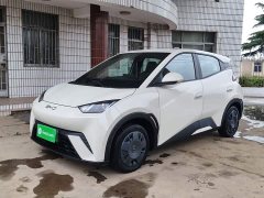 BYD Seagull Glory Edition 305km Vitality Version - ფოტო 1