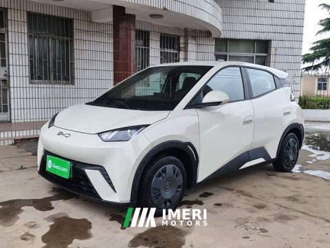 2024 BYD Seagull Glory Edition 305km Vitality Version - ავტომობილი ჩინეთიდან