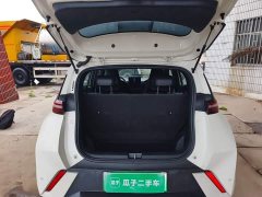 BYD Seagull Glory Edition 305km Vitality Version - ფოტო 18