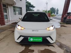 BYD Seagull Glory Edition 305km Vitality Version - ფოტო 2