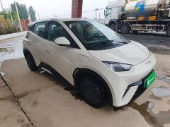 BYD Seagull Glory Edition 305km Vitality Version - ფოტო 3