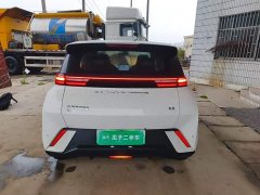 BYD Seagull Glory Edition 305km Vitality Version - ფოტო 5