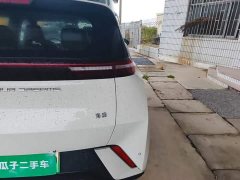 BYD Seagull Glory Edition 305km Vitality Version - ფოტო 7