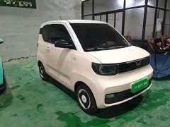 Wuling Hongguang MINIEV Macaron Fashion Edition LFP Battery - ფოტო 3