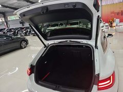 Volkswagen FAW-Volkswagen CC Shooting Brake 380TSI Hunting Heart Edition - ფოტო 18