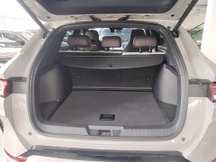 BYD Song Plus New Energy DM-i 112KM Luxury Edition - ფოტო 18