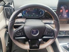 BYD Song Pro New Energy DM-i 110KM Excellence Edition - ფოტო 10