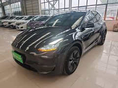 Tesla Model Y Long Range All-Wheel Drive - ფოტო 1