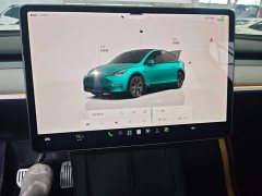Tesla Model Y Long Range All-Wheel Drive - ფოტო 12