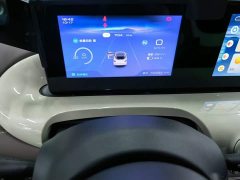 Wuling Binguo 203km Comfort Edition - ფოტო 11