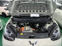 Wuling Binguo 203km Comfort Edition - ფოტო 19