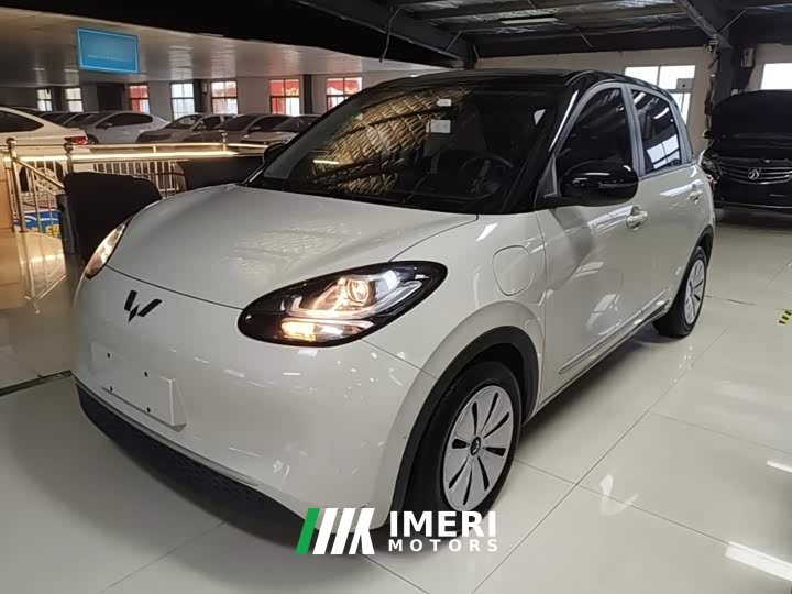 Wuling Binguo 333km Quick Enjoy Edition