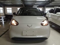 Wuling Binguo 333km Quick Enjoy Edition - ფოტო 2