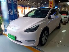 Tesla Model Y Standard Range RWD - ფოტო 1