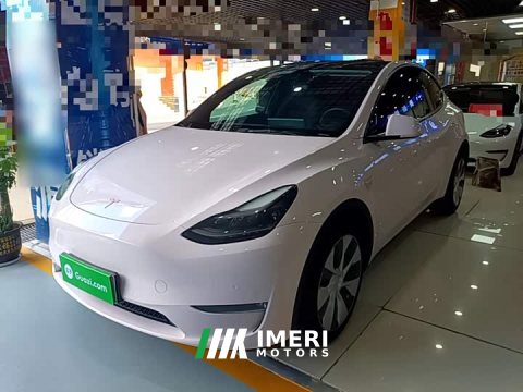 2021 Tesla Model Y Standard Range RWD - ავტომობილი ჩინეთიდან