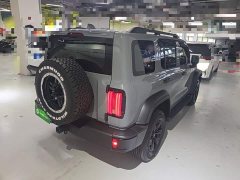 Tank 300 Off-Road Edition 2.0T Conqueror - ფოტო 6