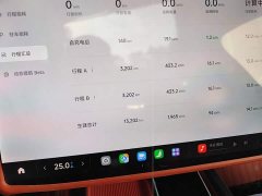 Xiaomi SU7 2024 Rear-Wheel Drive Long Range Smart Driving Edition - ფოტო 11