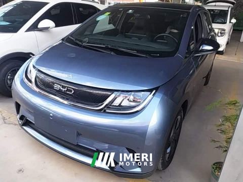 2024 BYD Dolphin Glory Edition 420km Freedom Version