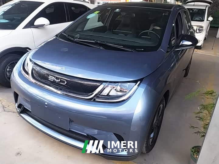 BYD Dolphin Glory Edition 420km Freedom Version