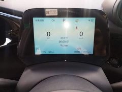 BYD Dolphin Glory Edition 420km Freedom Version - ფოტო 11