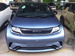 BYD Dolphin Glory Edition 420km Freedom Version - ფოტო 2
