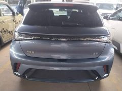 BYD Dolphin Glory Edition 420km Freedom Version - ფოტო 5