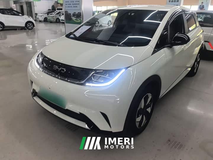BYD Dolphin 2025 420km Freedom Edition - ავტომობილი ჩინეთიდან