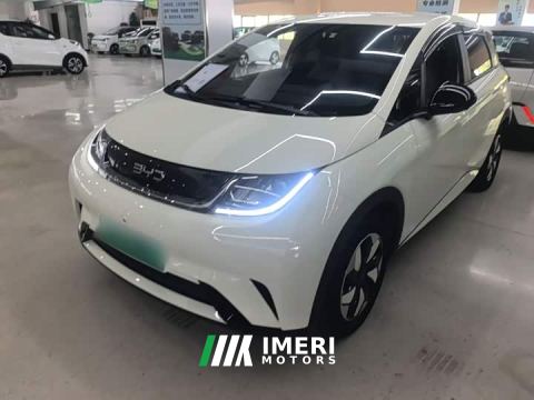 2026 BYD Dolphin 420km Freedom Edition