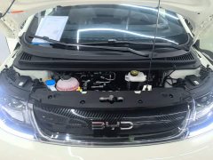 BYD Dolphin 2025 420km Freedom Edition - ფოტო 19