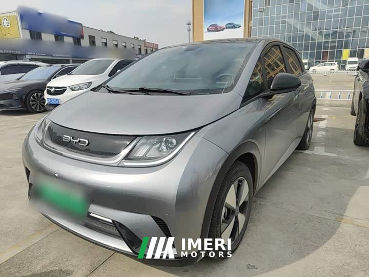 BYD Dolphin 2023 420km Fashion Edition - ავტომობილი ჩინეთიდან