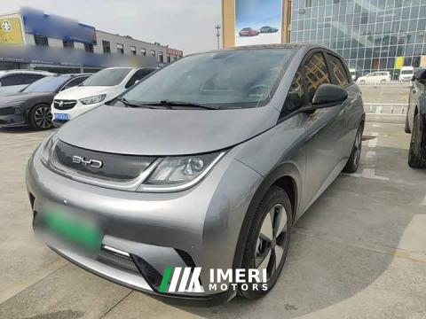 2024 BYD Dolphin 420km Fashion Edition