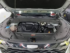 Geely Boyue L 2023 2.0TD DCT Luxury - ფოტო 19