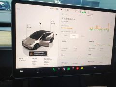 Tesla Model Y 2022 Facelift Rear-Wheel Drive - ფოტო 11