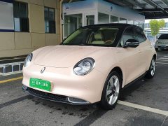 ORA Good Cat 400km Standard Range Venus Edition LFP Battery - ფოტო 1