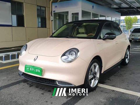2021 ORA Good Cat 400km Standard Range Venus Edition LFP Battery - ავტომობილი ჩინეთიდან