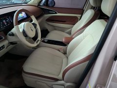 ORA Good Cat 400km Standard Range Venus Edition LFP Battery - ფოტო 14