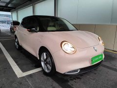 ORA Good Cat 400km Standard Range Venus Edition LFP Battery - ფოტო 3