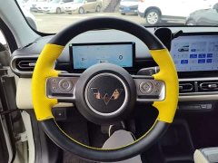 Wuling Binguo PLUS 2024 330km 5-Seater - ფოტო 10