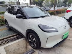 Wuling Binguo PLUS 2024 330km 5-Seater - ფოტო 3