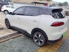 Wuling Binguo PLUS 2024 330km 5-Seater - ფოტო 4