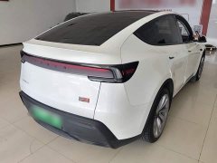 Tesla Model Y Long Range All-Wheel Drive Launch Edition - ფოტო 6
